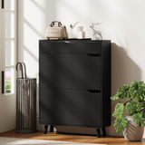 Narrow Shoe Cabinet for Entryway with 2 Flip Drawers, Top Drawer and Adjustable Shelves for 12 Pairs of Shoes