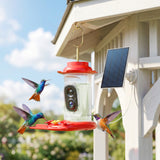 Mangeoire pour oiseaux intelligente avec caméra, identification IA de 16000 oiseaux