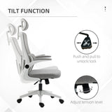 High Back Office Chair, Mesh Computer Desk Chair with Rotatable Headrest, Lumbar Back Support, Adjustable Height