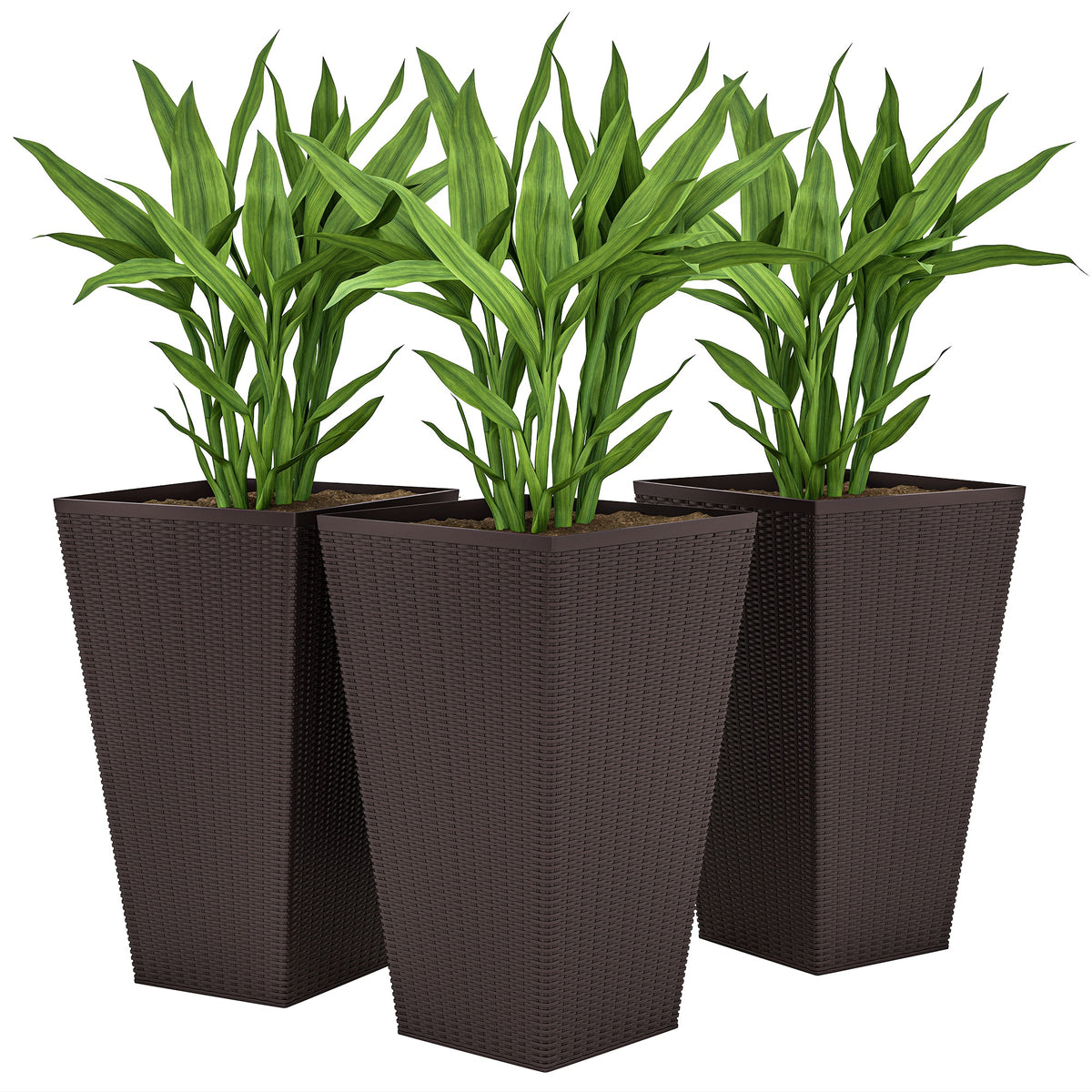 Ensemble de 3 supports de plantes grand modèle