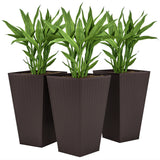 Ensemble de 3 supports de plantes grand modèle