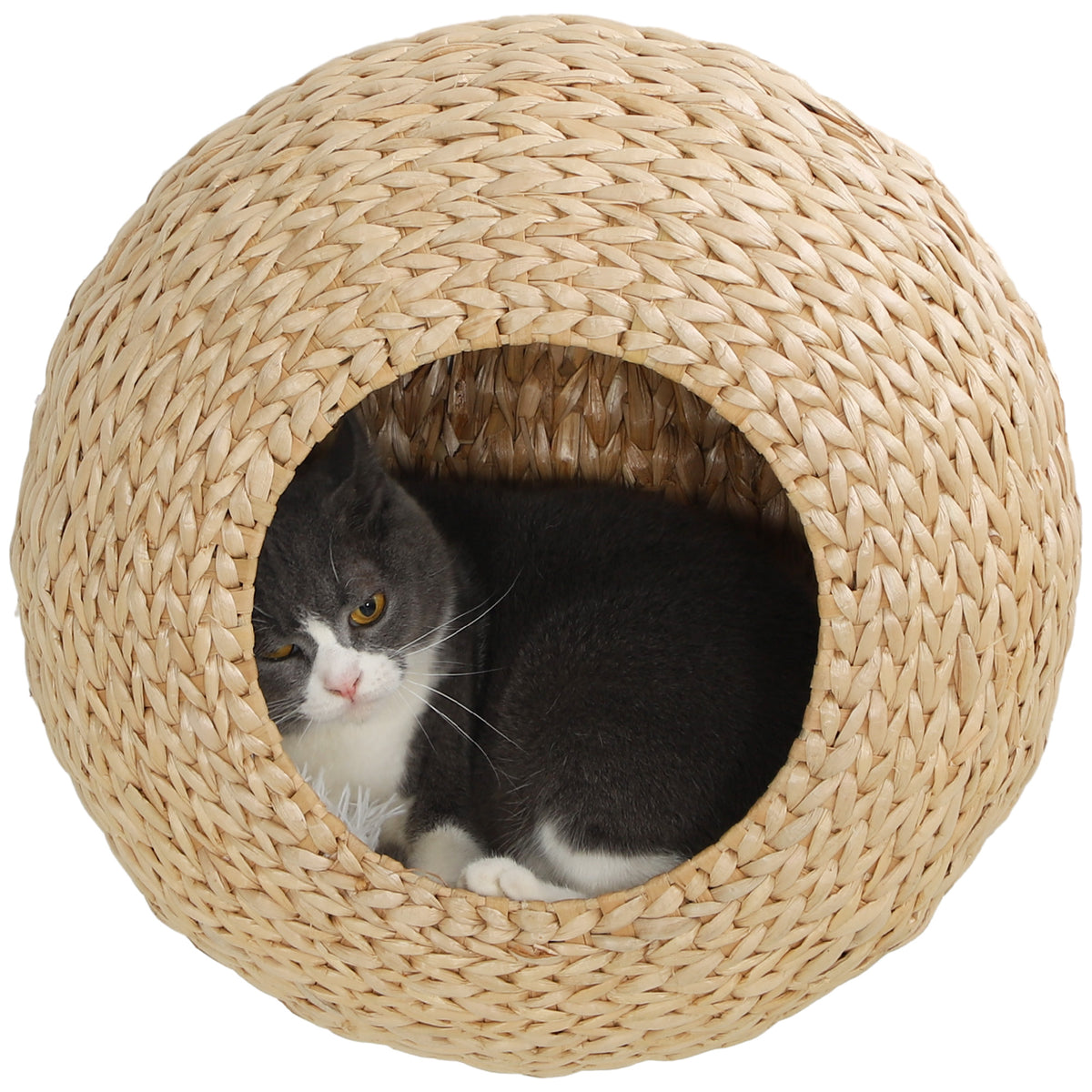 Tablette Murale Chat avec Coussin Lavable