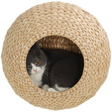 Tablette Murale Chat avec Coussin Lavable