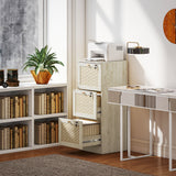 3 Drawer Filing Cabinet with Lock, Boho File Cabinet for A4 Letter Size Files with Decorative Rattan Accents