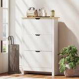 Shoe Storage Cabinet with