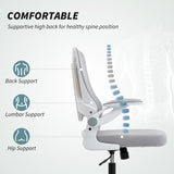 Ergonomic Office Chair, Swivel Desk Chair with Adjustable Lumbar Support and Height, Wheels