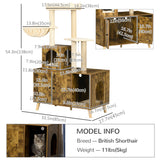 Litter Box Enclosure with Cat Tree Tower, Large Platform