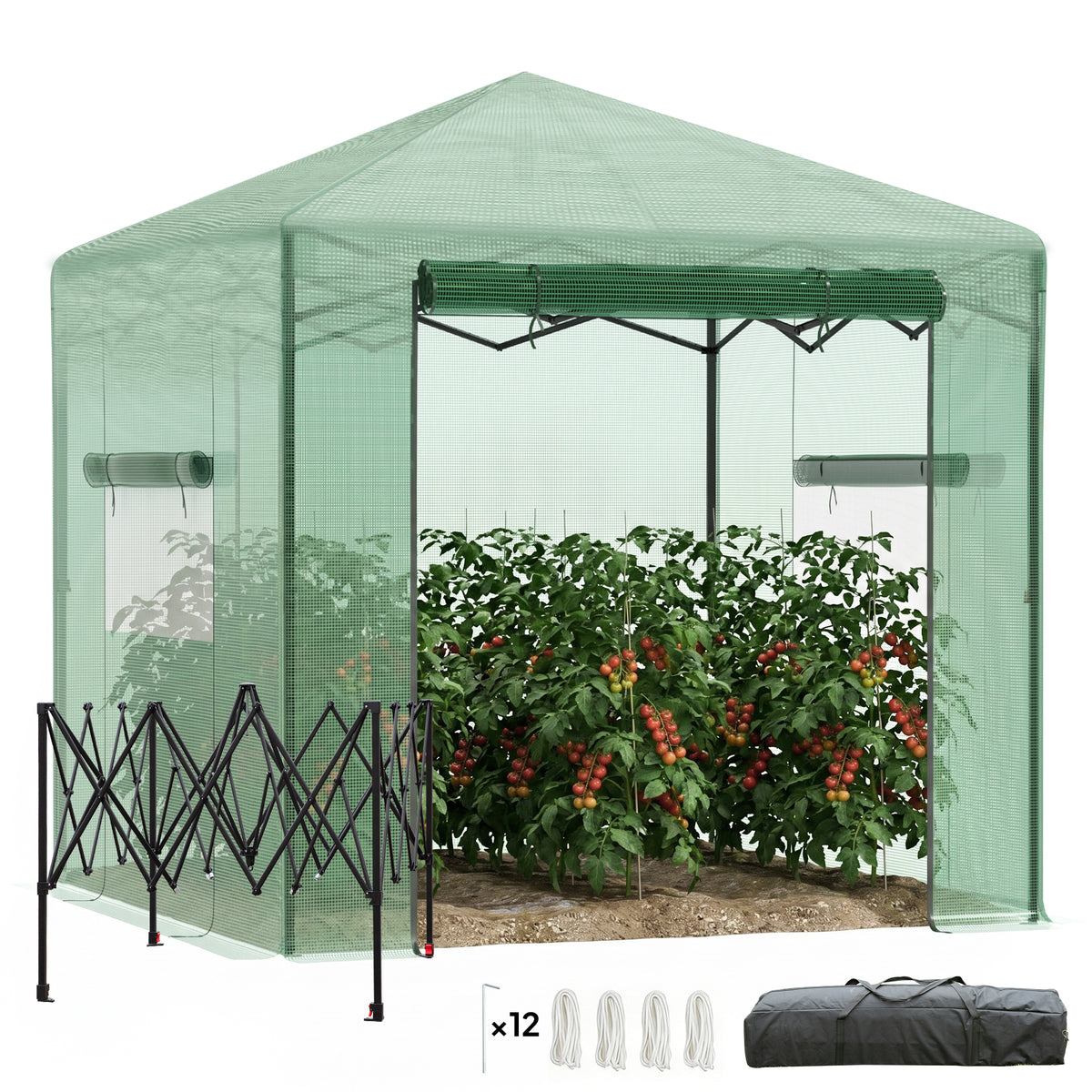 Portable Pop Up Greenhouse, Outdoor Walk-in Hot House with Roll-up Door & 2 Windows, 8' x 6'