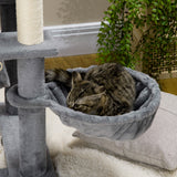 Arbre à chat 55
