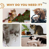 Maison pour chat en carton multi-niveaux