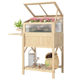 Lit de jardin surélevé avec châssis froid, boîte de plantation surélevée en bois avec table latérale pliante et tablette