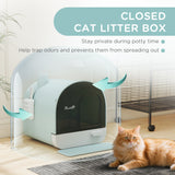 Cat Litter Box with Lid, Removable Tray