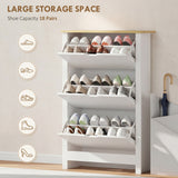 Shoe Storage Cabinet with