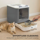 Litter Box with Lid