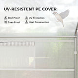 Walk-in Tunnel Greenhouse with Galvanized Steel Frame