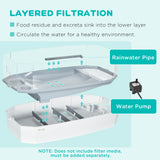 Turtle Tank Kit