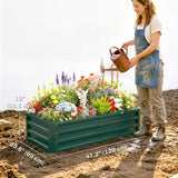 4' x 2' x 1' Raised Garden Bed