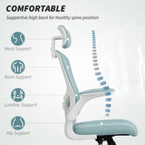 Ergonomic Office Chair, Mesh Desk Chair with Adjustable Headrest, Lumbar Support and Height