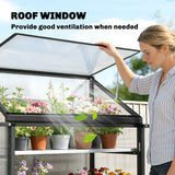 Polycarbonate Greenhouse with 2-Tier Shelves Gardening Green House for Patio Garden