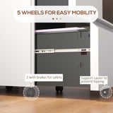 Mobile Vertical Filing Cabinet with Lock, 2-Drawer Steel File Cabinet with Adjustable Hanging Bar for Letter, A4 and Legal Size
