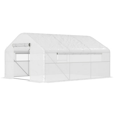 Walk-in Tunnel Greenhouse with Galvanized Steel Frame