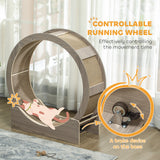 Roue pour chat 36